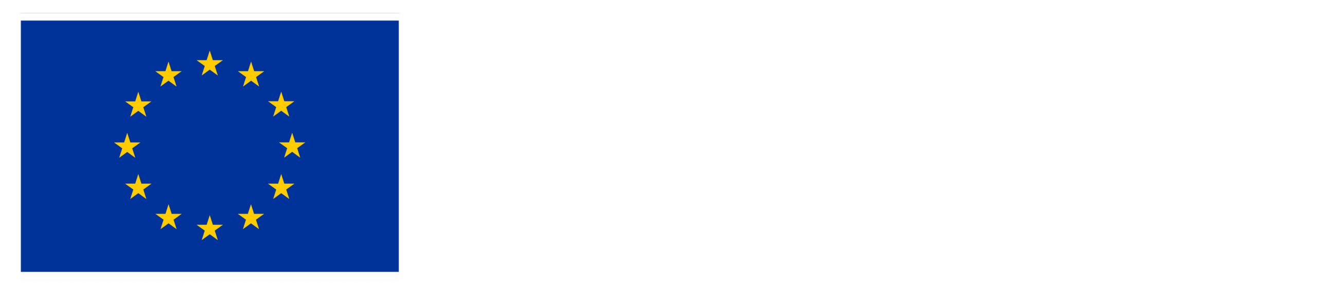 Co-funded by the European Union
